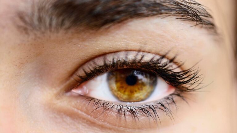 Yeux noisette maquillés dans des tons chauds, photographiés en lumière douce